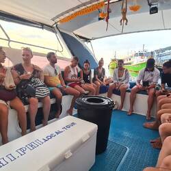 Ab geht die wilde Fahrt...