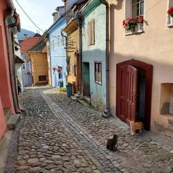 Local welcoming committee