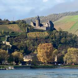 Stahleck Castle