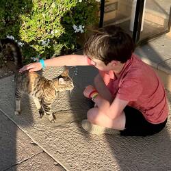 playing with the hotel's cat