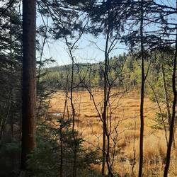 Hier hätten wir uns einen Elch gewünscht, hätte doch super ins Bild gepasst 😄