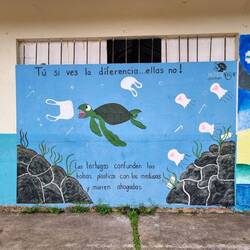 "Du siehst den Unterschied... sie nicht!" 🐢