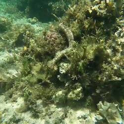 Will gar nicht wissen, was das ist