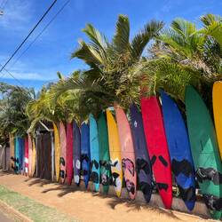 Zaun von unserem Hostel: Aloha Surf Hostel