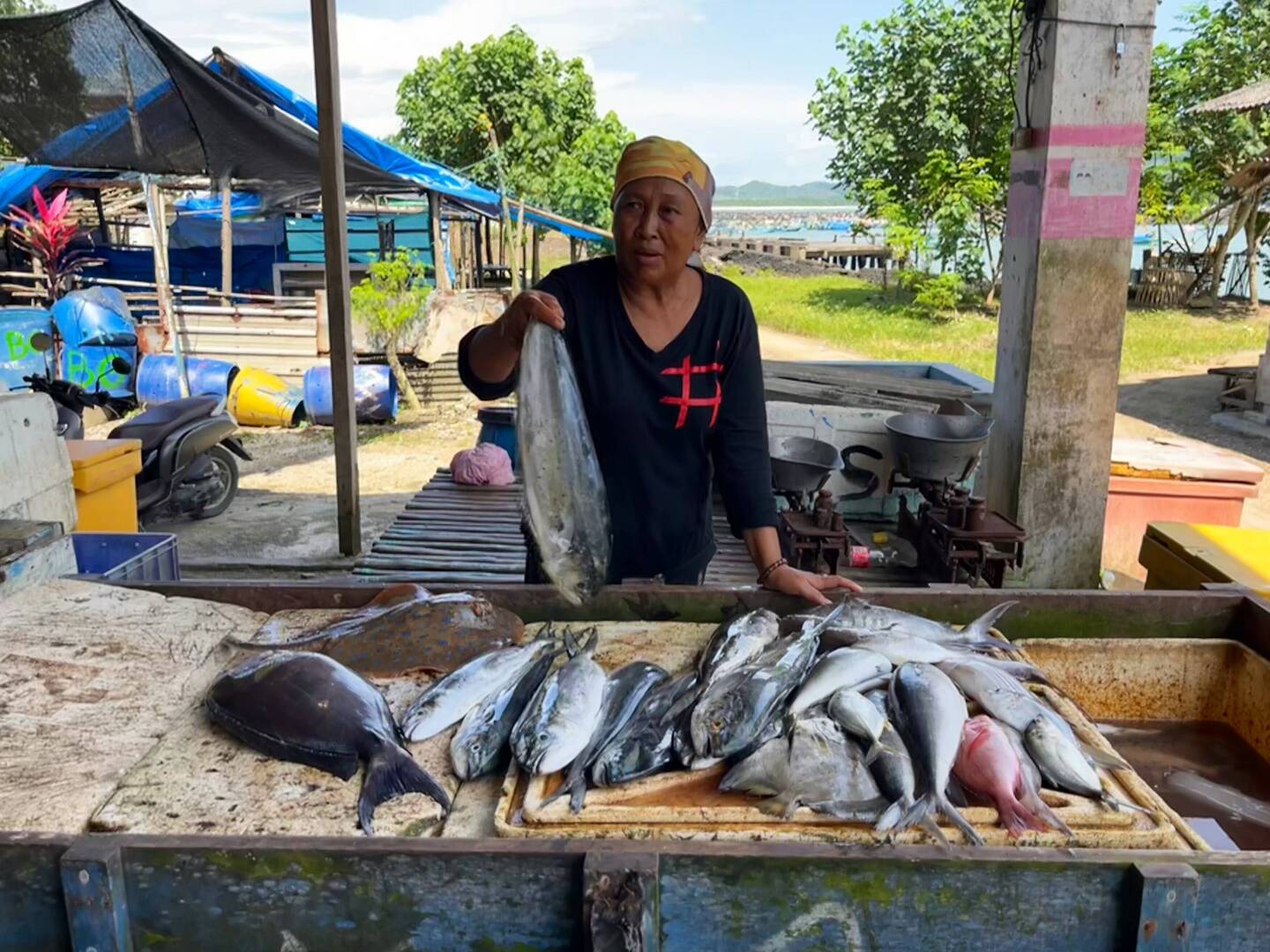 Fish market 🎣