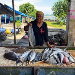 Fish market 🎣