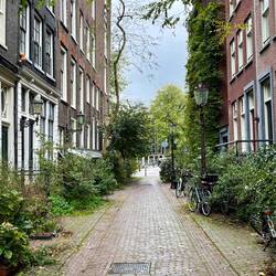 Lovely green laneway we walked through