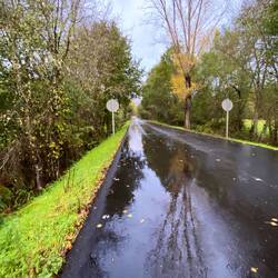 Rainy reflections on the road