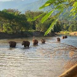 9 member grouping coming in for the night