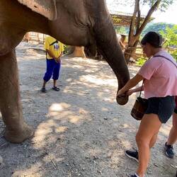 Jordan feeding rice balls