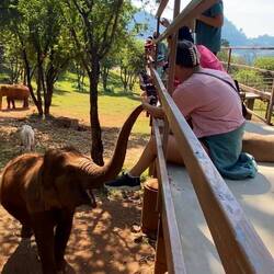 On the catwalk - they are very curious about people