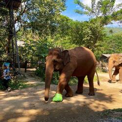 She stepped on a landmine and is still being treated
