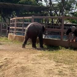 The babies couldn't get enough of playing in the water