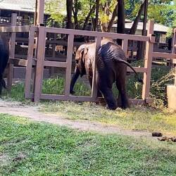 And so did this one!!