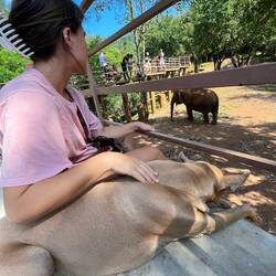 One of the MANY free roaming dogs - they "found" Jordan's loving touch often