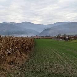 On tour between Sibiu and Alba Iulia