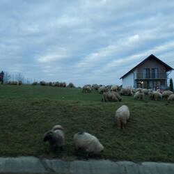 On tour between Sibiu and Alba Iulia
