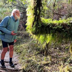 Merveilles à toutes les dimensions