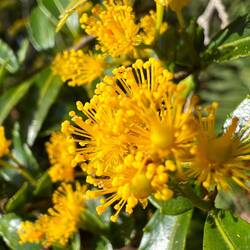 Au matin les couleurs éclatent!