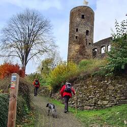 Aufstieg zur Burg Reuland!