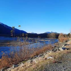 Brackendale Eagles Provincial Park in Squamish