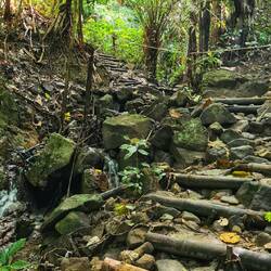 Der Weg zum Freedom Beach