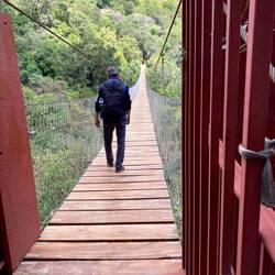 On the suspension bridge
