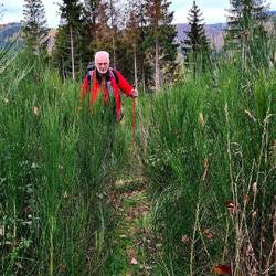 Nach steilem Aufstieg....