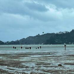 Traversée de la Okura river les pieds dans l'eau, ou plus pour certain.e.s 😉