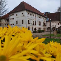Stift mit Gasthaus.