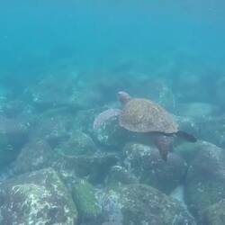 Unsere Highlights aus der Bucht