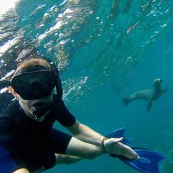 Selfie mit Robbie 🤳🏼