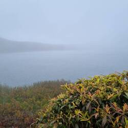Ausflug zur sagenhaften Lagune El Junco 🙄