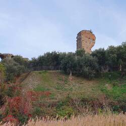 Burgruine an der Spitze