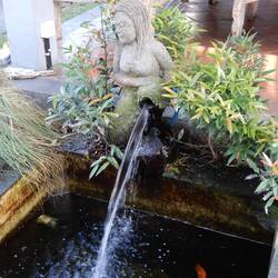 Water fountain, Penestanan.