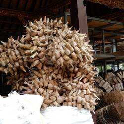 Temple at Gunong Kawi.