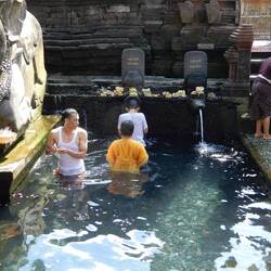 Devotees participating in the purification ritual, Tirta Empul.