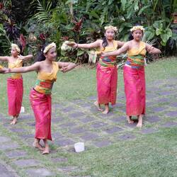 Wedding entertainment.