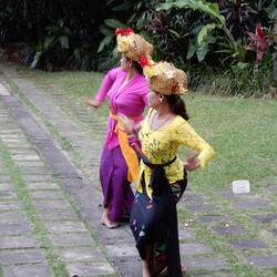 Wedding entertainment.