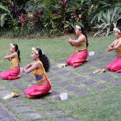 Wedding entertainment.