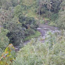 The villa overlooked the Ayung River.