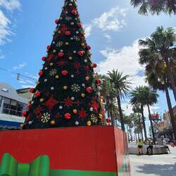 An meinem Lieblingsort: am Manly Beach