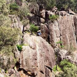 Rather them than me.