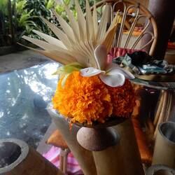 A quick snack at Yellow Flower Cafe en route to the Neka Art Museum.