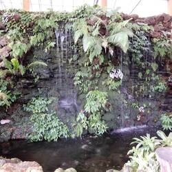 Bedugul Botanic Garden.