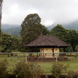Bedugul Botanic Garden.