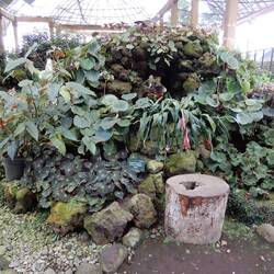 Bedugul Botanic Garden.