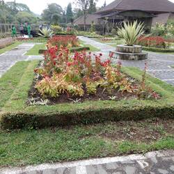 Bedugul Botanic Garden.