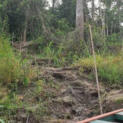 akunft midem boot irgendwo zmittzt im dschungel