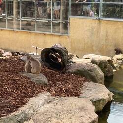 City Park, Launceston.